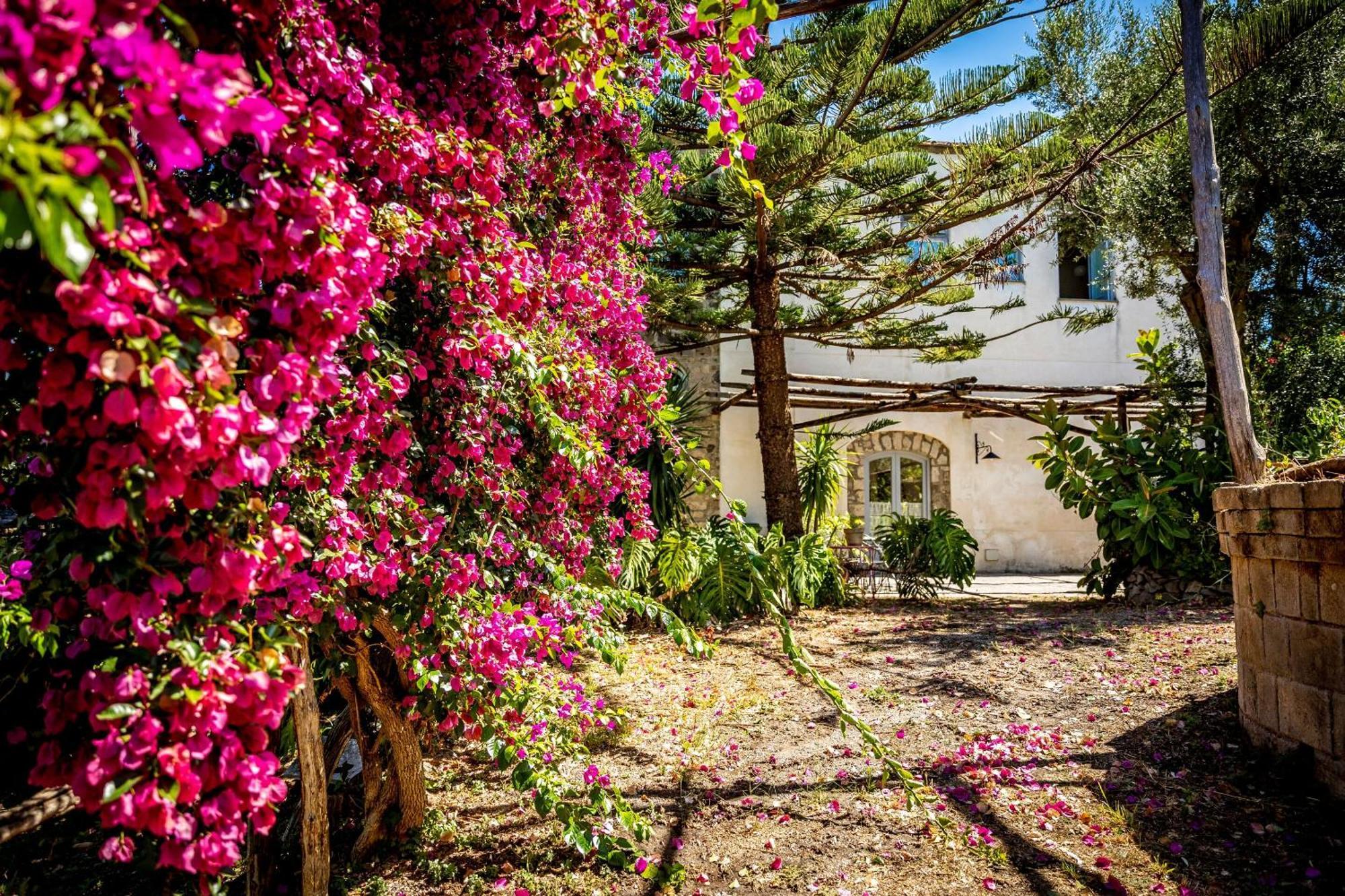 Villa Puolo - Sorrento Dış mekan fotoğraf